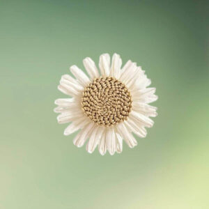 Solsikke servietringe hvid