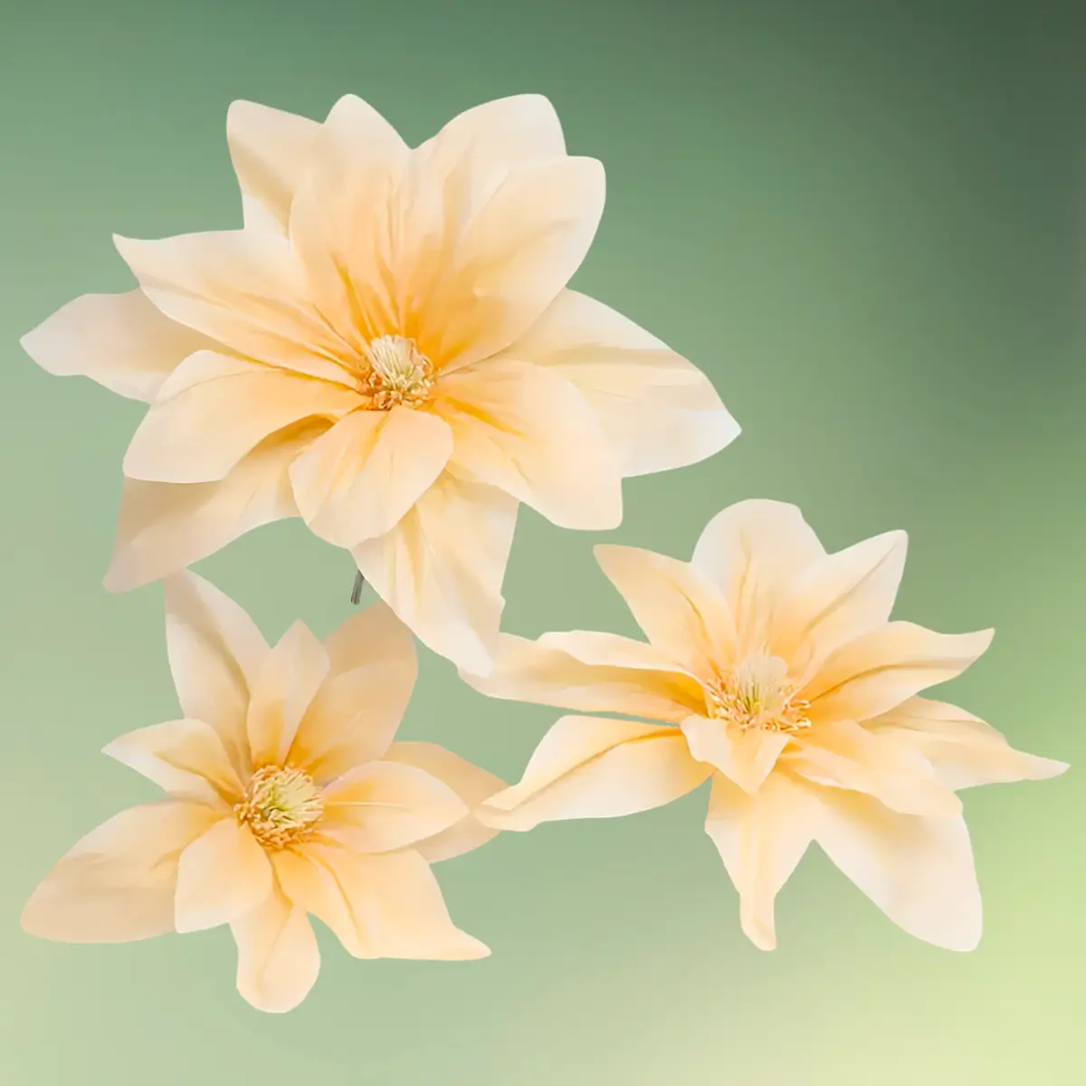 lej Kunstige lilje blomster sæt | Gigantisk store blomster | 55, 65 og 75 cm | Natur & creme