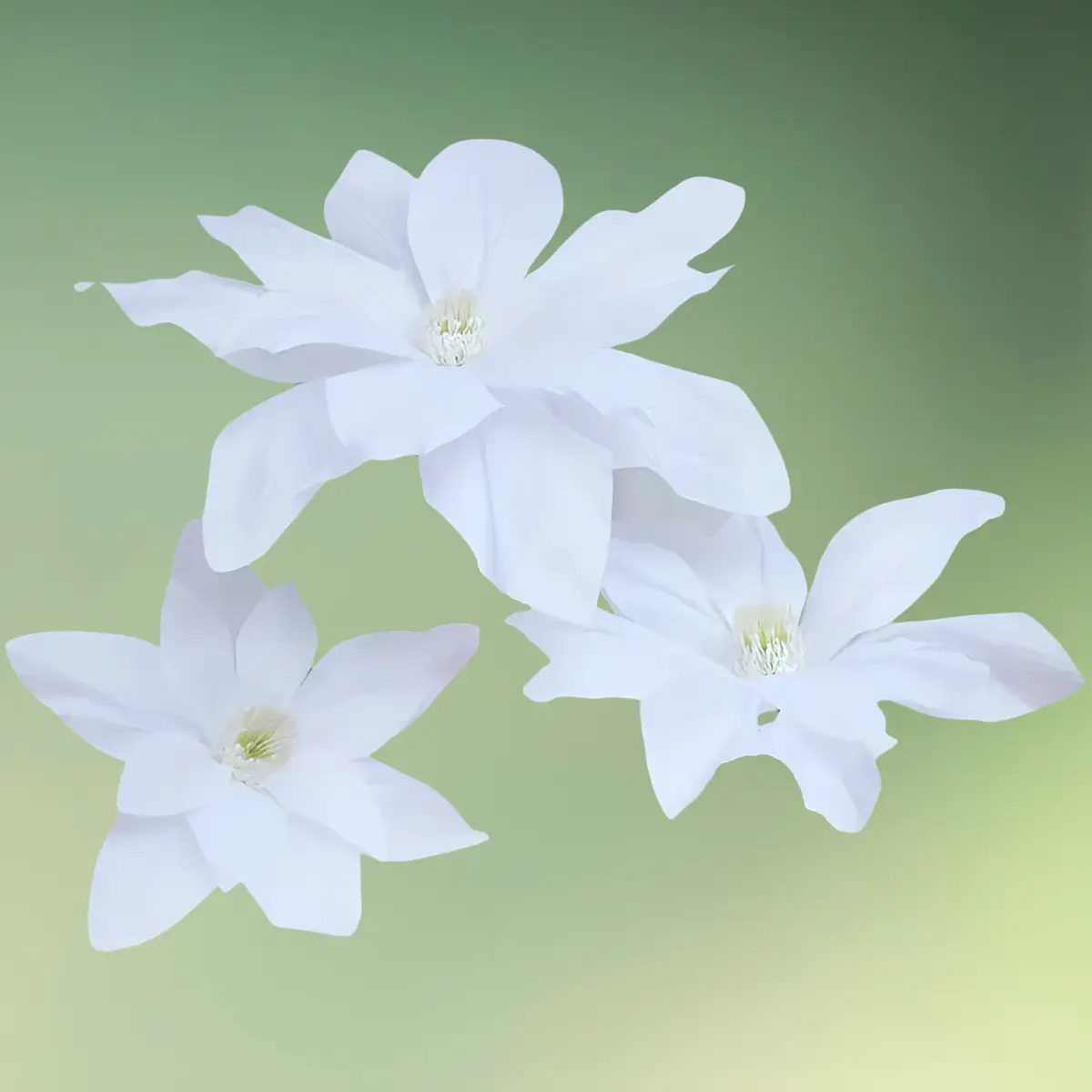 lej Kunstige lilje blomster sæt | Gigantisk store blomster | 55, 65 og 75 cm | Hvid