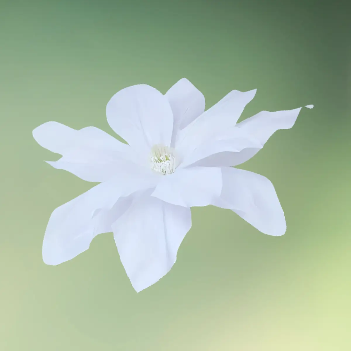 lej Kunstige lilje blomster sæt | Gigantisk store blomster | 55, 65 og 75 cm | Hvid