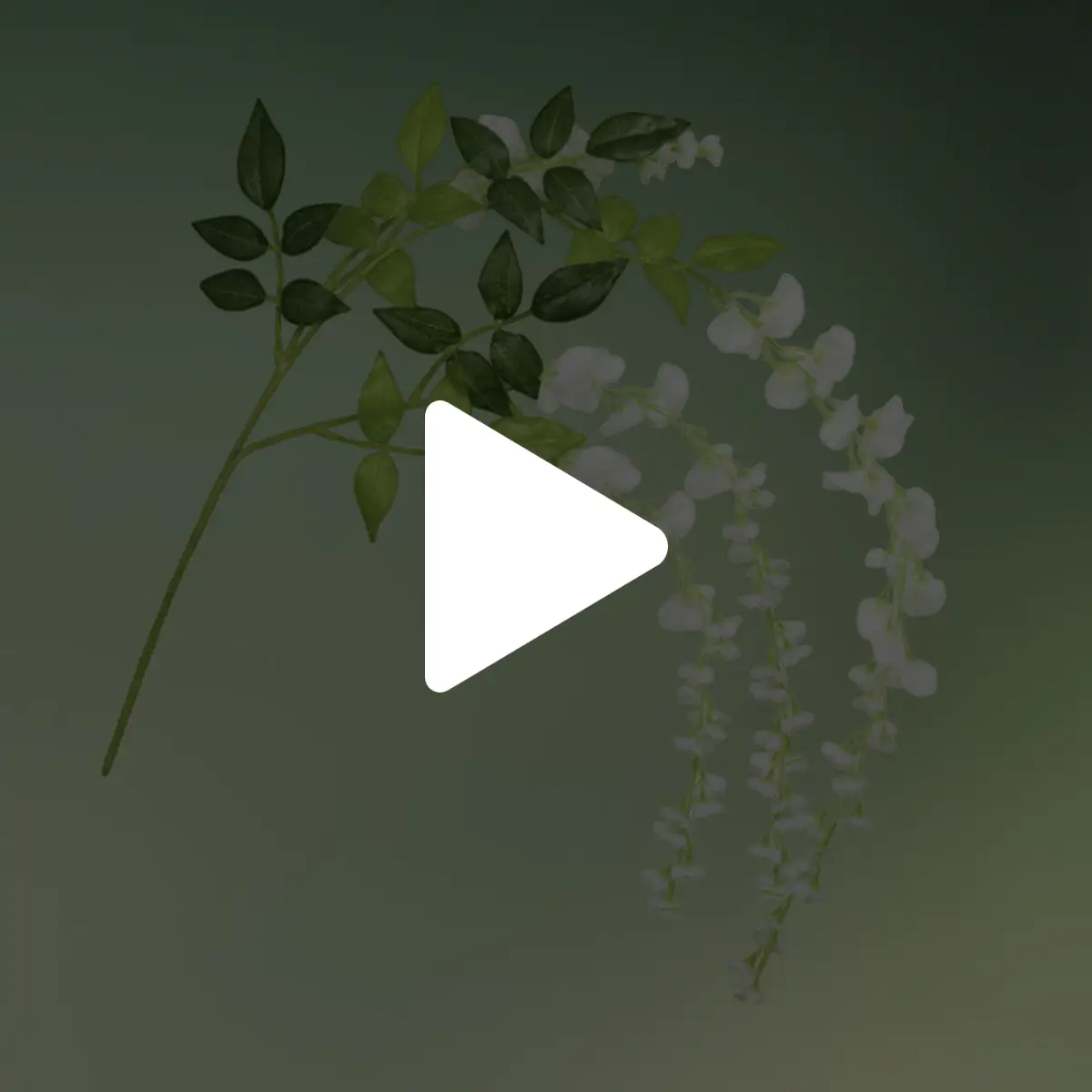 Lej kunstig hvid blåregn