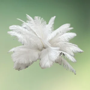 lej Fjerdekoration | Hvide strudsefjer | Dekoration med fjer til centerpiece mv.