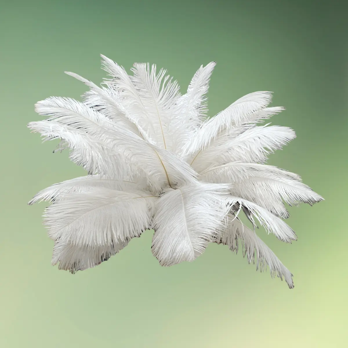 lej Fjerdekoration | Hvide strudsefjer | Dekoration med fjer til centerpiece mv.