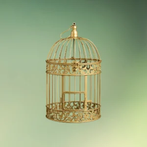 lej Fuglebur i jern | Dekorationsbur | Guld | 45 x 25 cm.