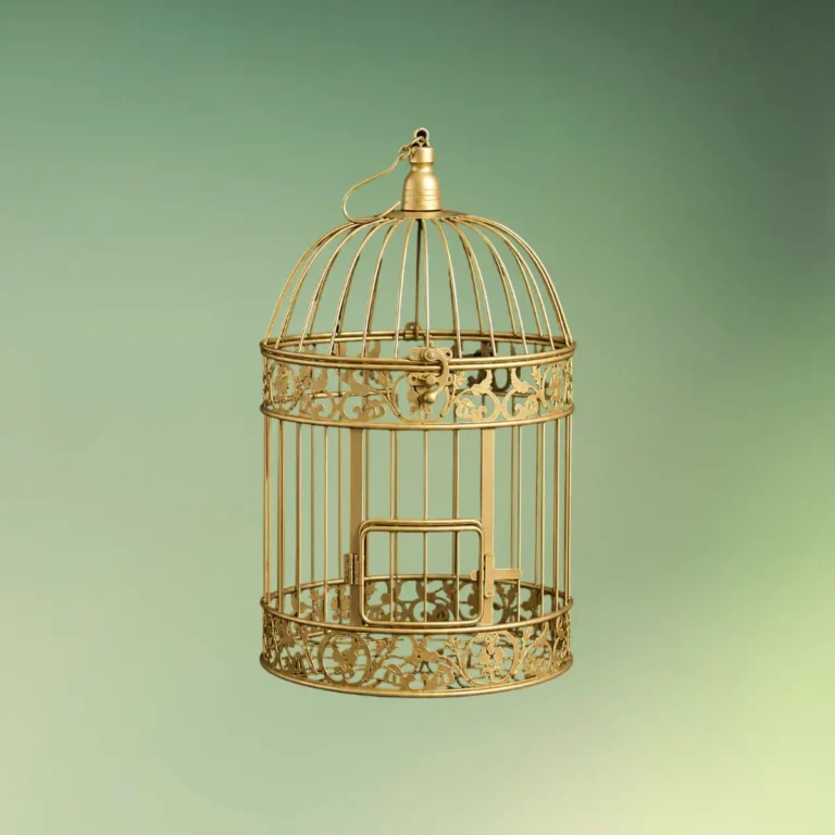 lej Fuglebur i jern | Dekorationsbur | Guld | 45 x 25 cm.