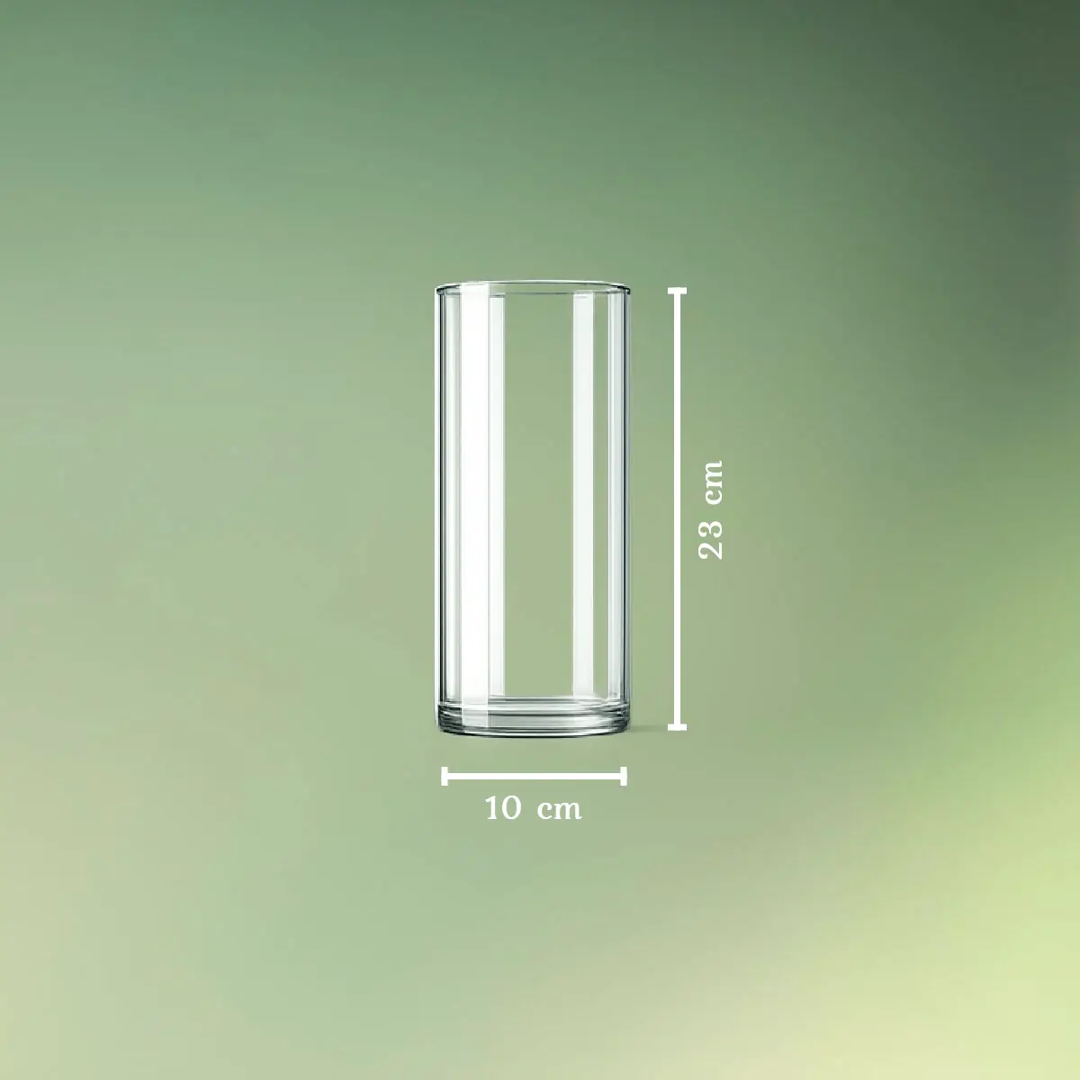 Glas cylinder vaser M mål (1) lej Glas cylinder vaser | Dekorationsvasesæt | Sæt med 3 størrelser