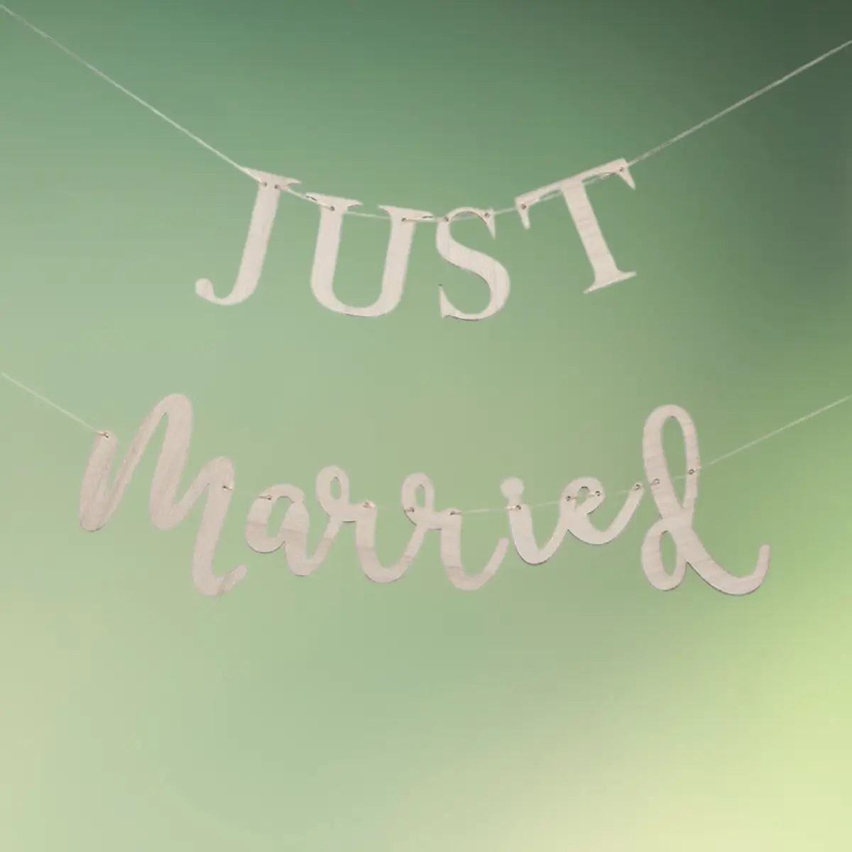 lej en Just Married træ guirlande til dit bryllup