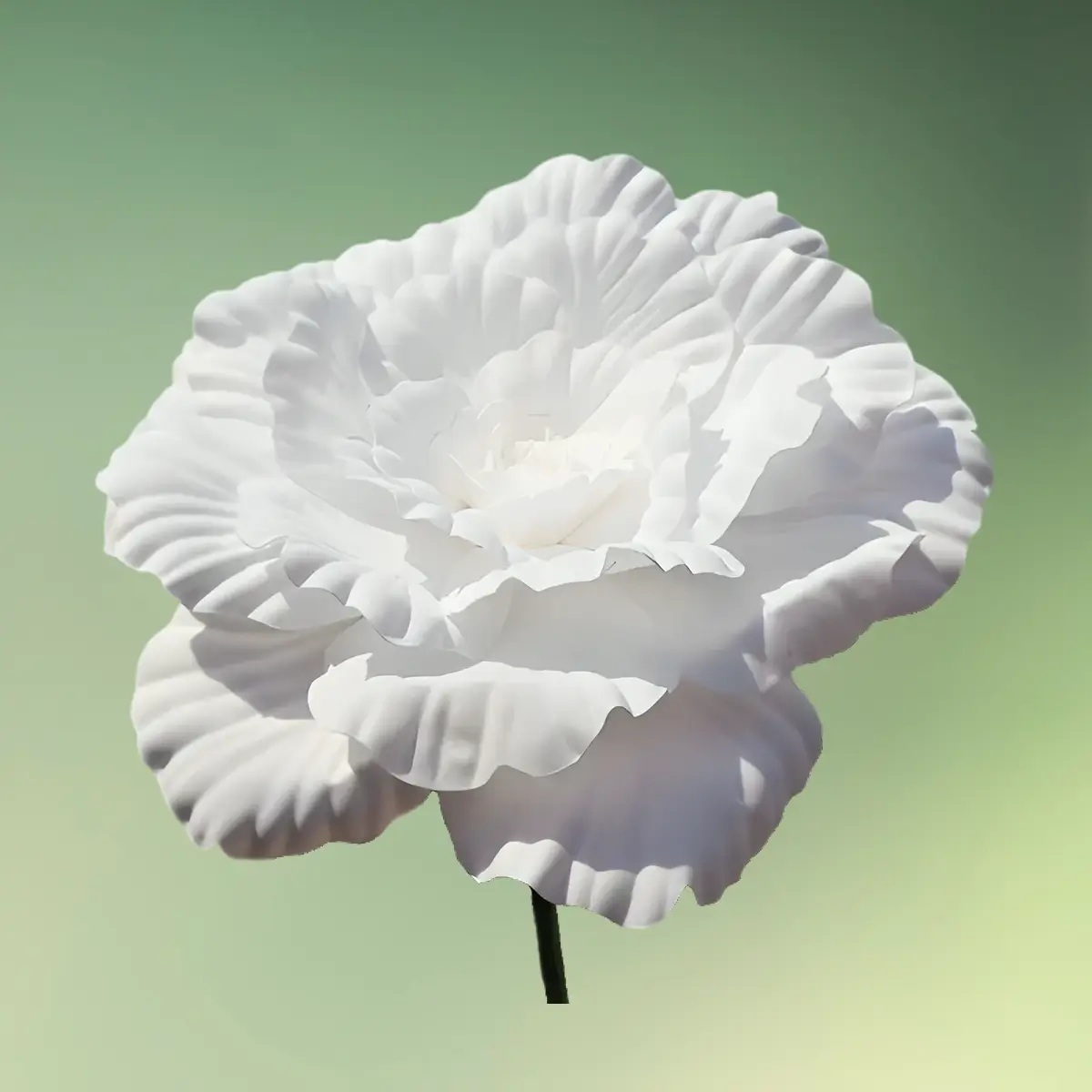 kæmpe pæon blomst 49 cm hvid