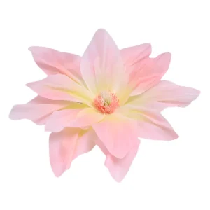 Lyserød-gul kæmpelilje