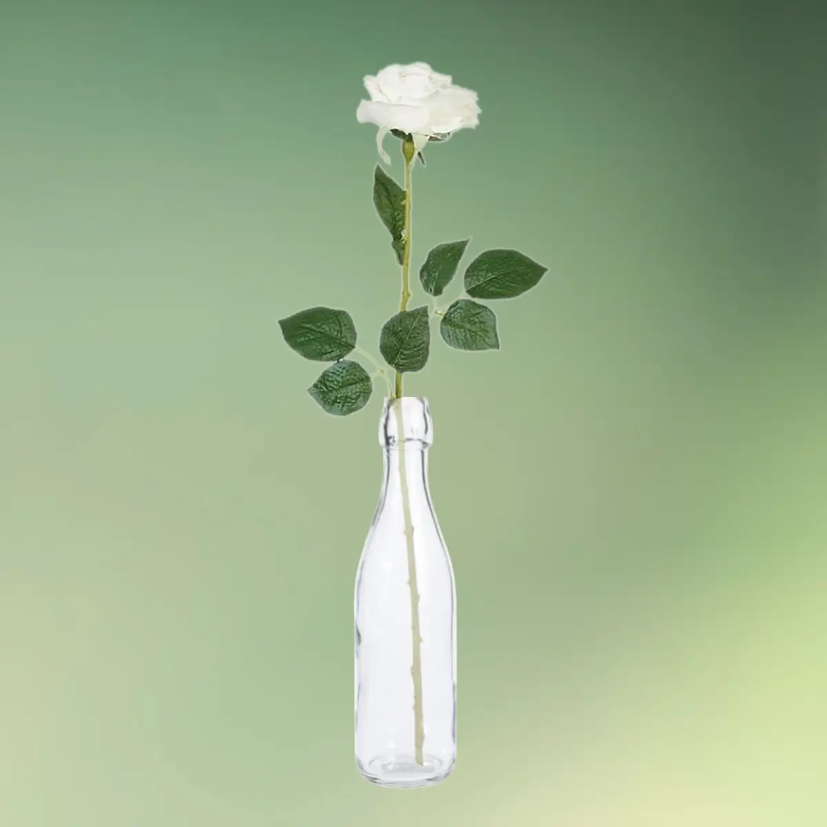 glasflaske 0,5 l som vase med langstilket rose