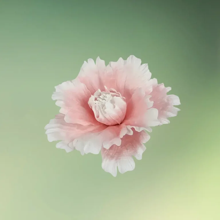 lej Kunstig pæon blomst | Stor blomst | 30 cm | Lyserød-hvid