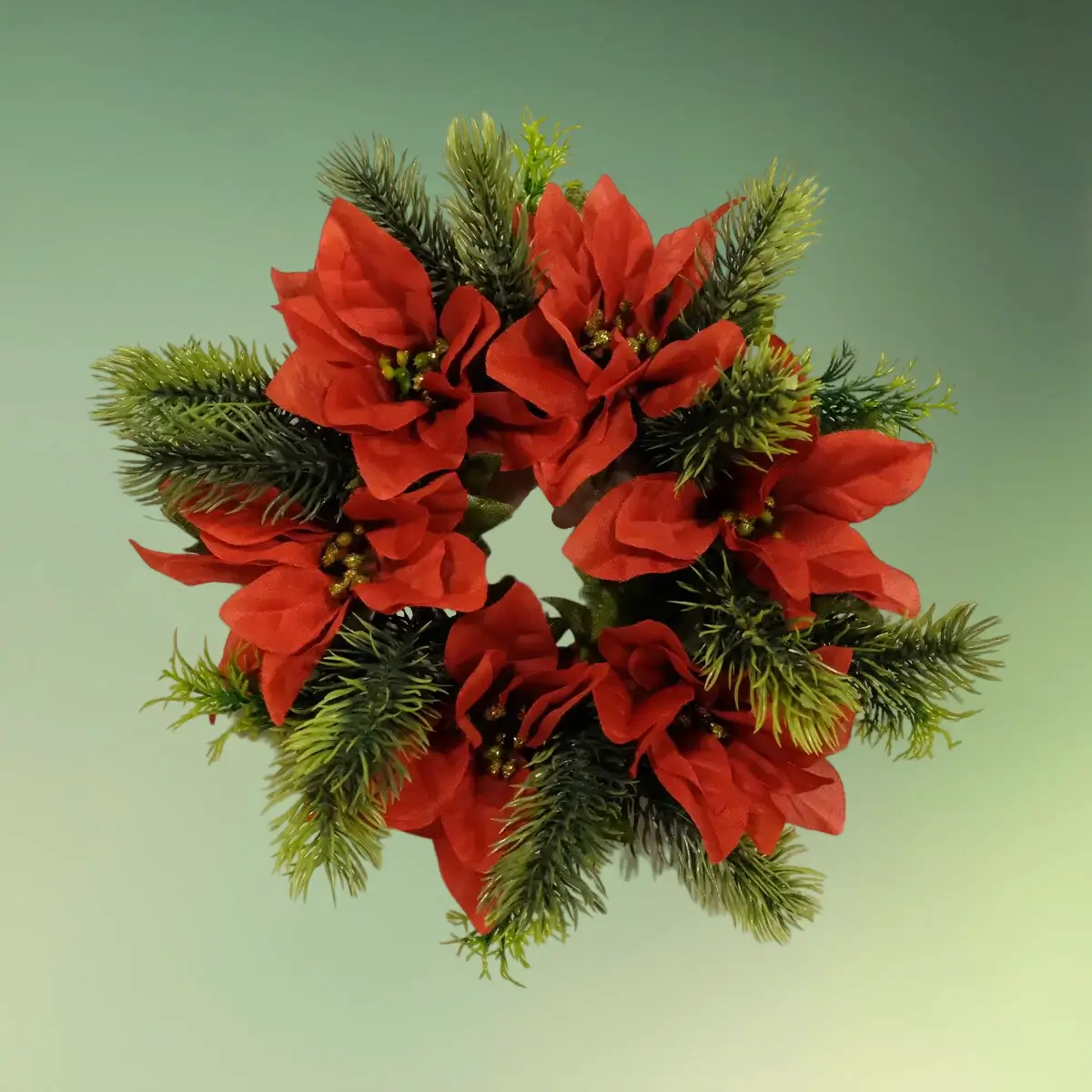 lej en Lyskrans med røde julestjerner og gran | Jule krans til lys