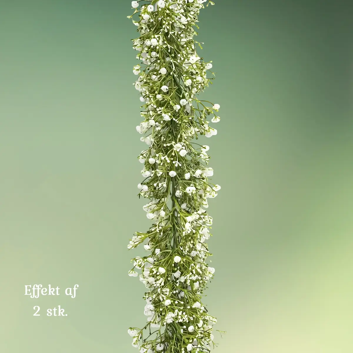 lej Kunstig blomsterranke med små hvide blomster | Brudeslør | 1,8 m