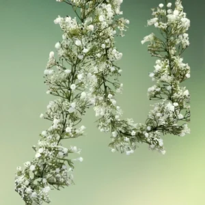 lej Kunstig blomsterranke med små hvide blomster | Brudeslør | 1,8 m