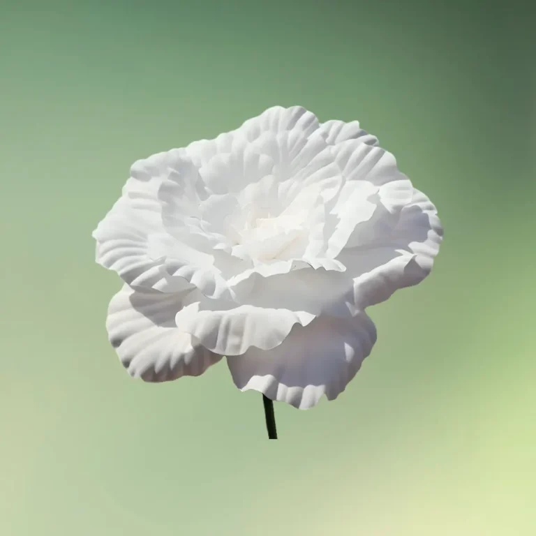 stor pæon blomst 30 cm hvid