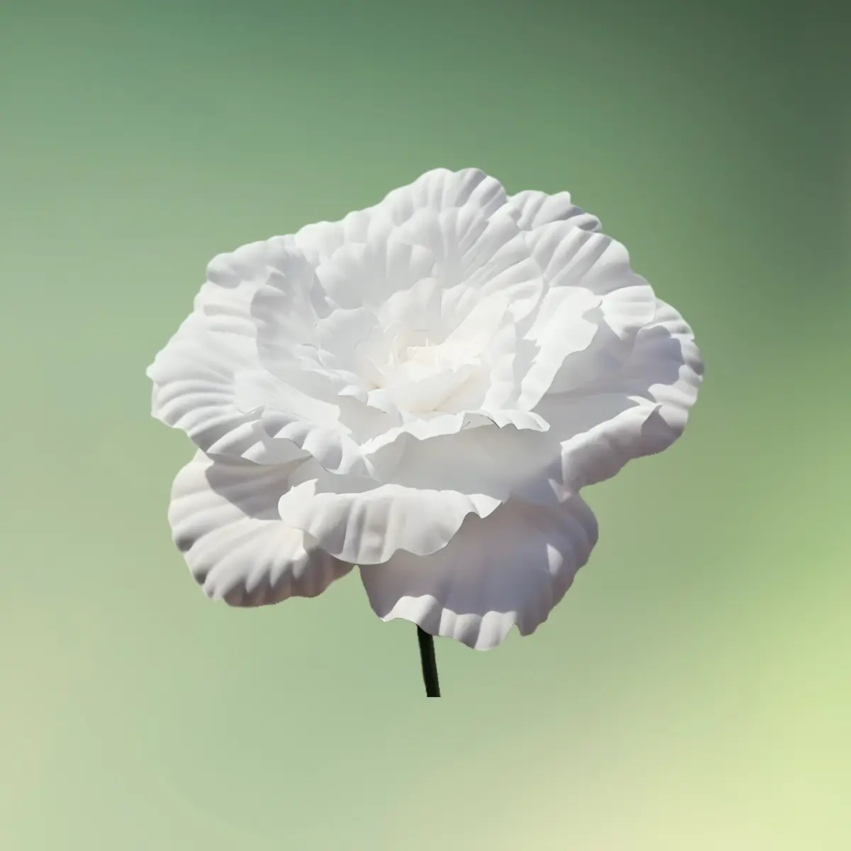 stor pæon blomst 30 cm hvid