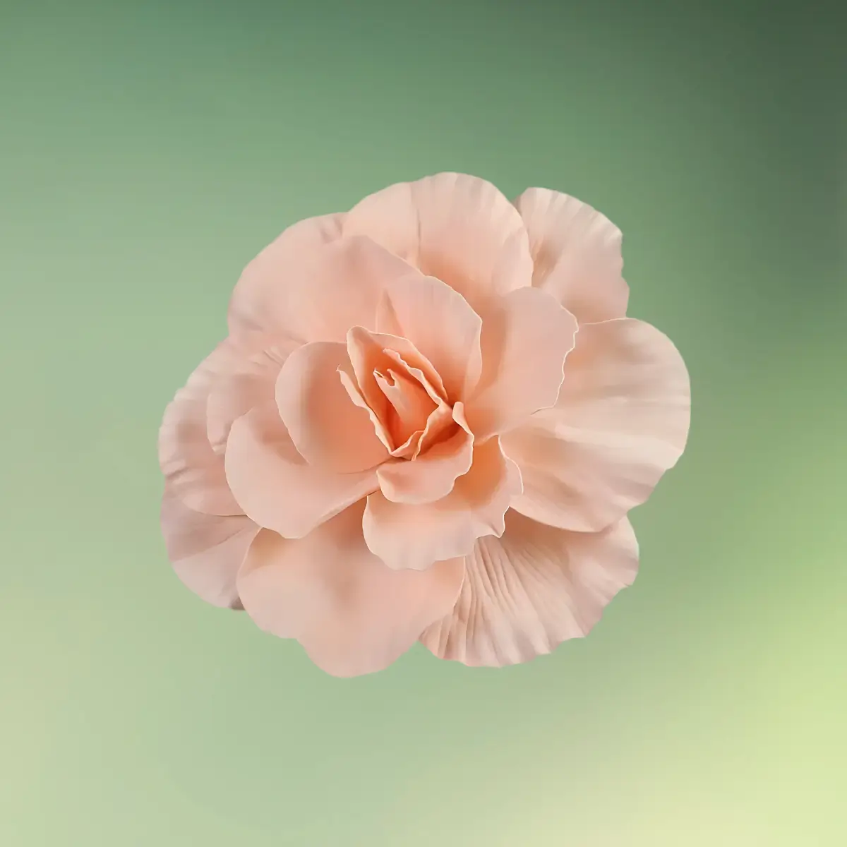 stor rose blomst 30 cm champagne / soft peach