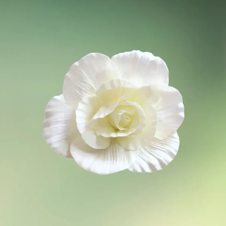 stor rose blomst 30 cm hvid